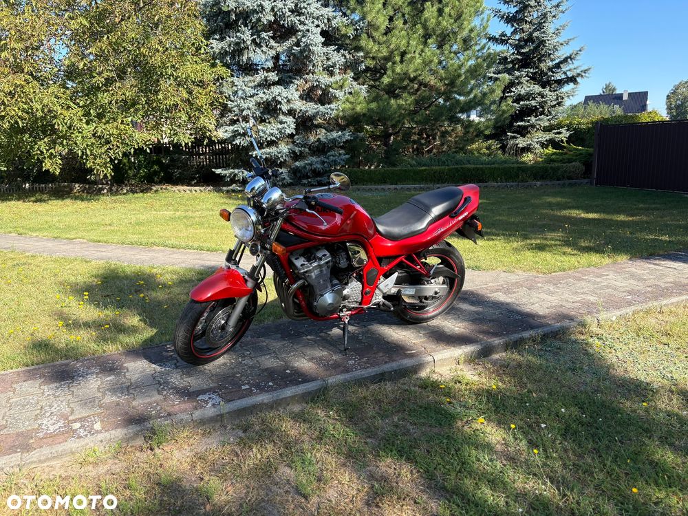 Suzuki Bandit - 3