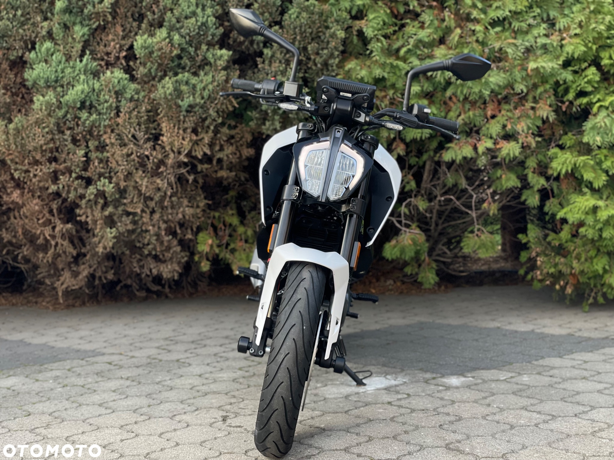 KTM Duke - 8
