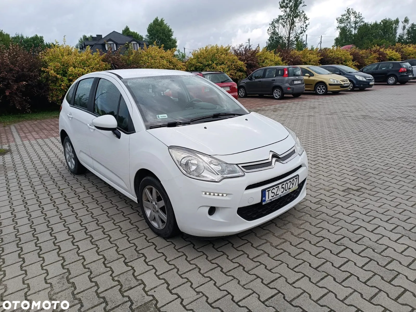 Citroën C3 1.6 BlueHDi Live S&S - 2