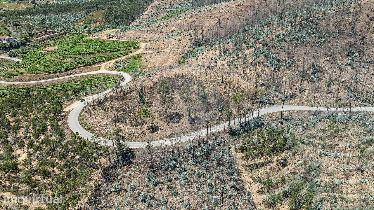 Terreno  para venda - Grande imagem: 4/12