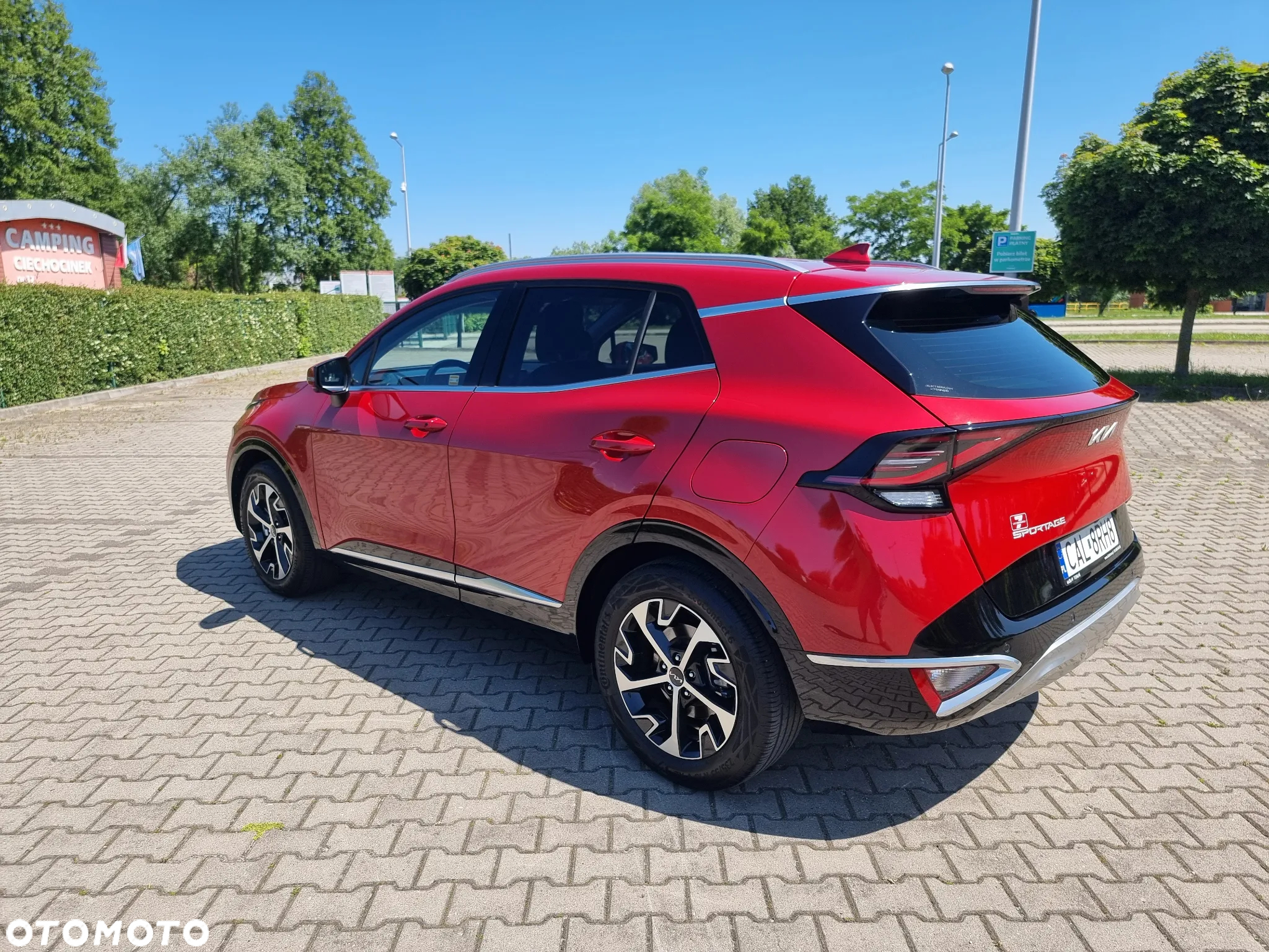Kia Sportage 1.6 T-GDI MHEV Business Line 2WD DCT - 18