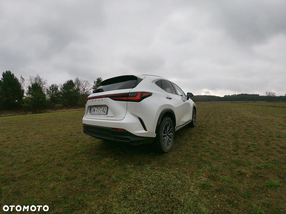 Lexus NX 350h Prestige 2WD - 3