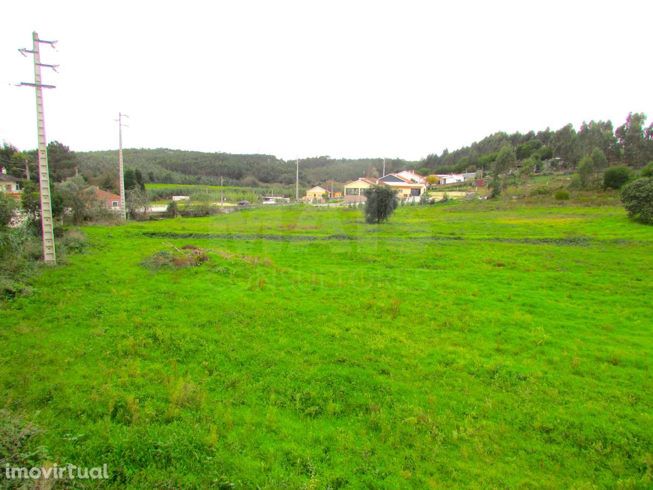 Terreno Urbanizável - 1,7ha - Torres Vedras - Ramalhal - Grande imagem: 3/7