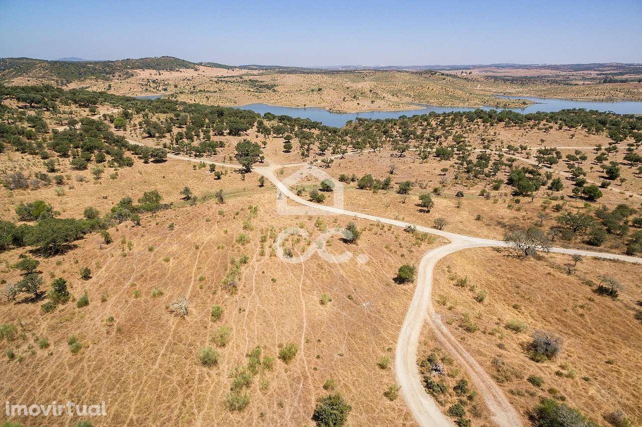 Terreno rústico com 13250 m2 | Terena - Grande imagem: 5/12