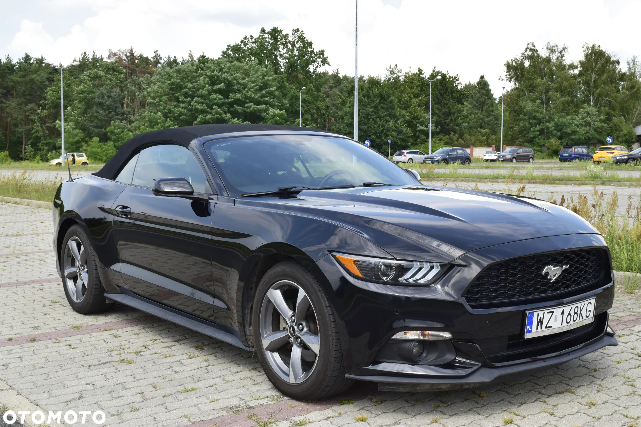 Ford Mustang 3.7 V6 - 25