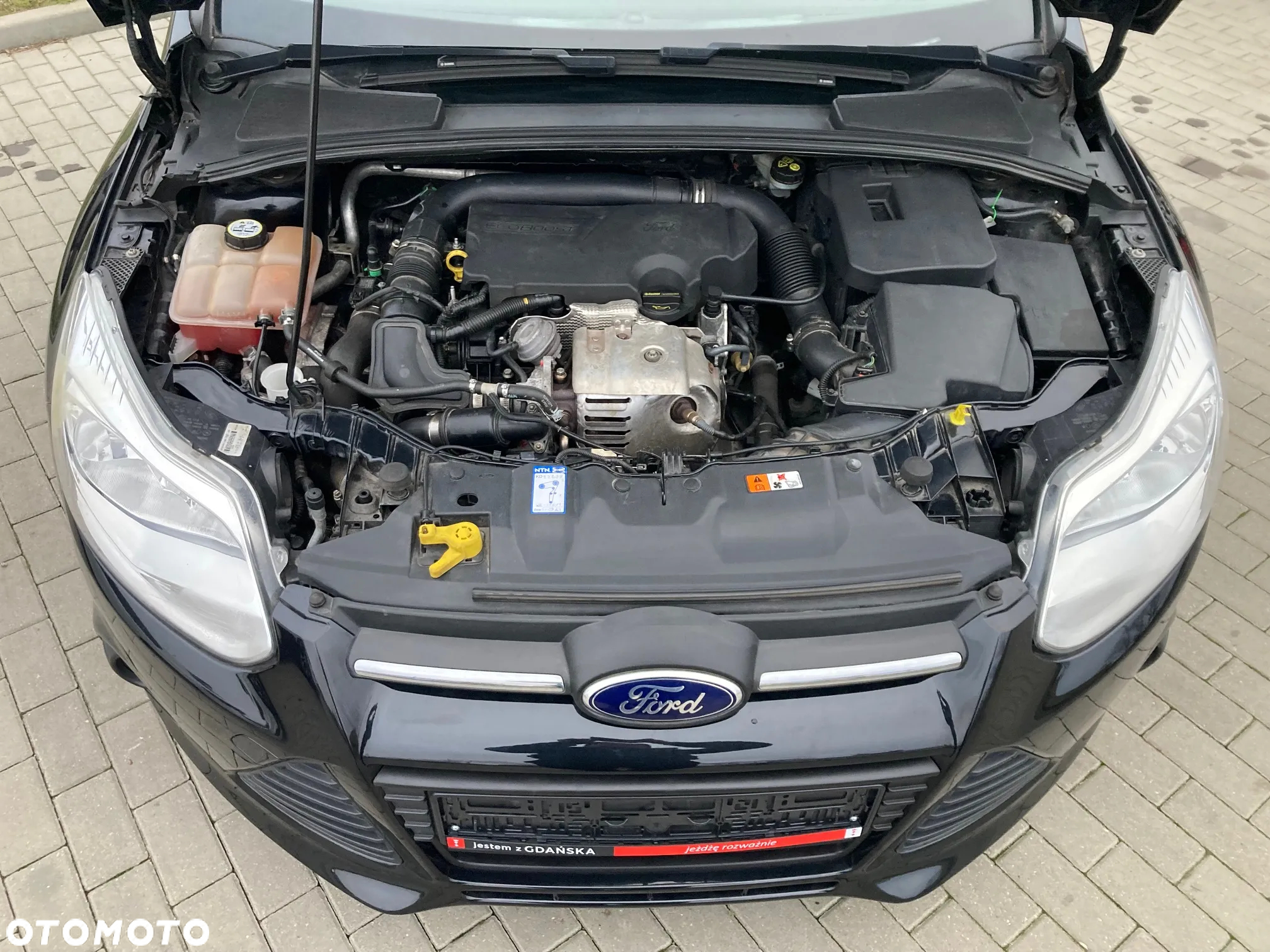 Ford Focus - 17