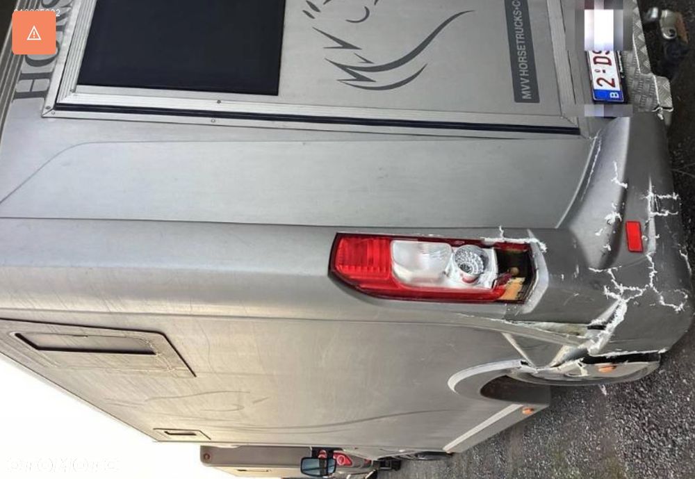 Opel MOVANO Koniowóz - 4