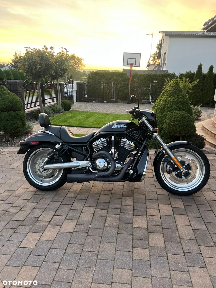 Harley-Davidson V-Rod Street Rod - 1