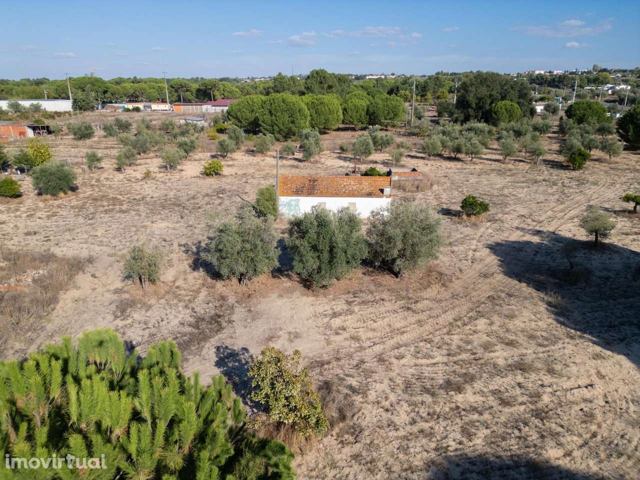 Terreno Misto 3.0 ha, Álcacer do Sal, Alcacer do Sal - Grande imagem: 3/27