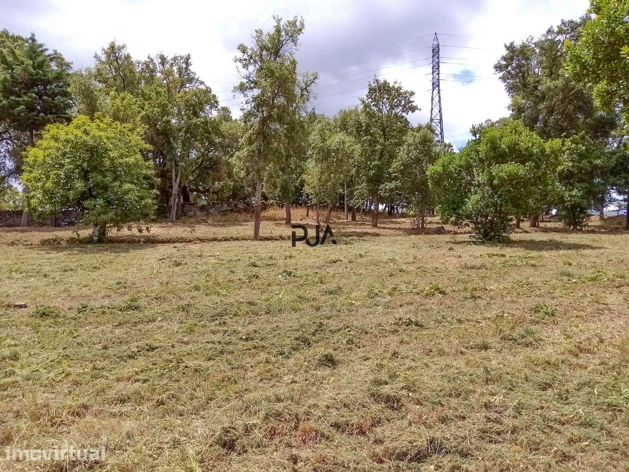 Terreno industrial em Mangualde - Grande imagem: 5/7