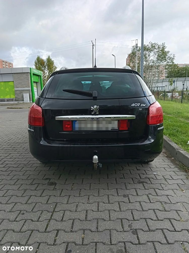 Peugeot 407 - 14
