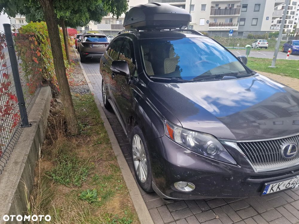 Lexus RX - 3