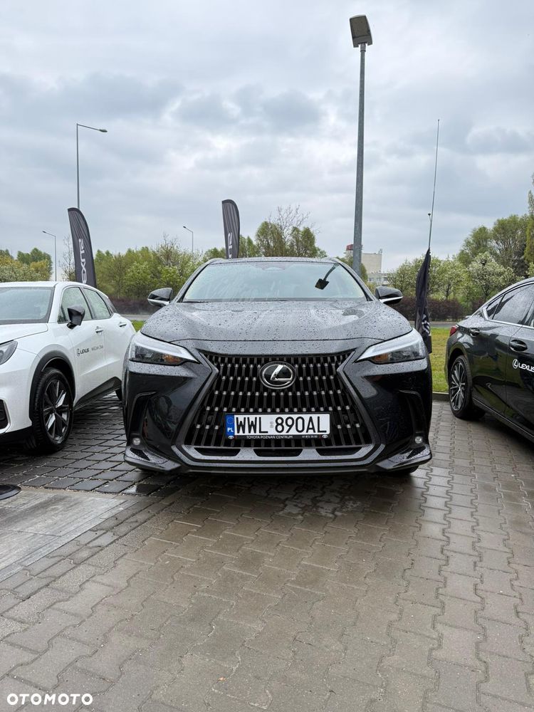 Lexus NX - 2