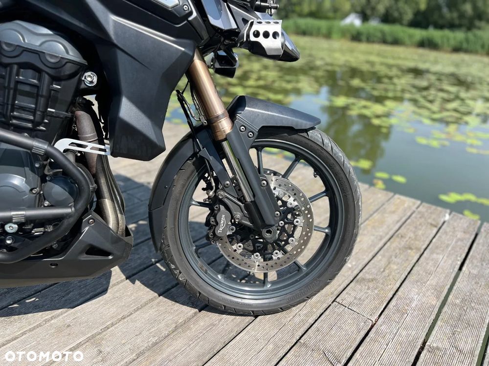 Triumph Tiger - 11