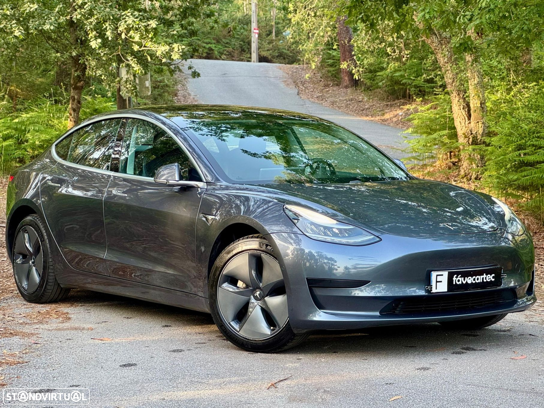 Tesla Model 3 Standard Range Plus RWD - 12