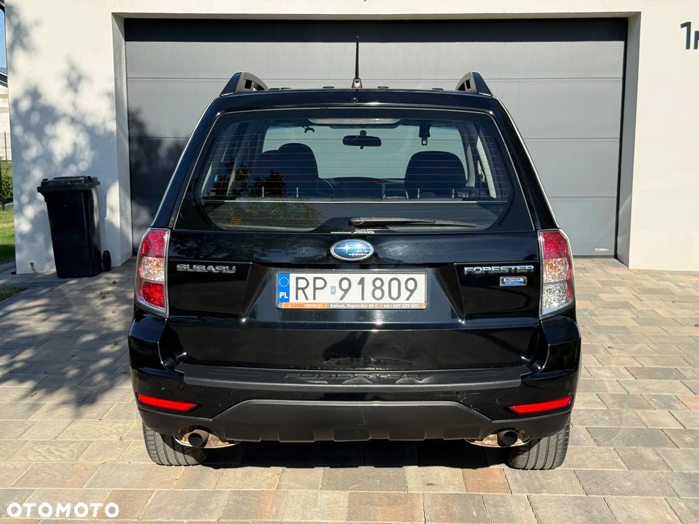 Subaru Forester - 6