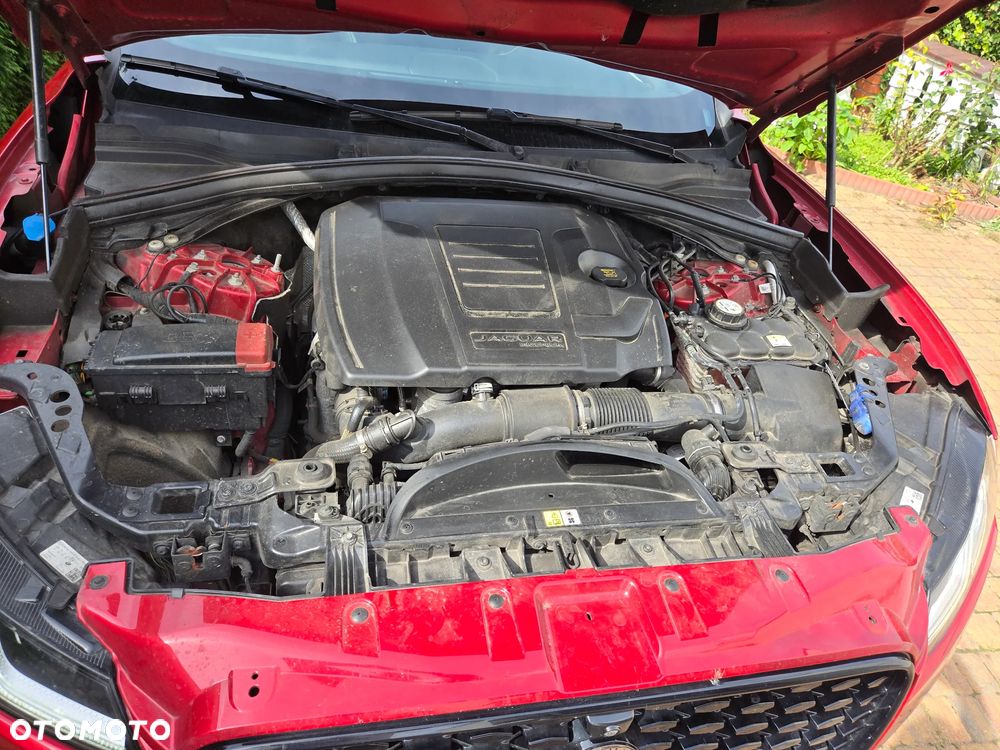 Jaguar F-Pace P250 AWD R-Dynamic S - 24