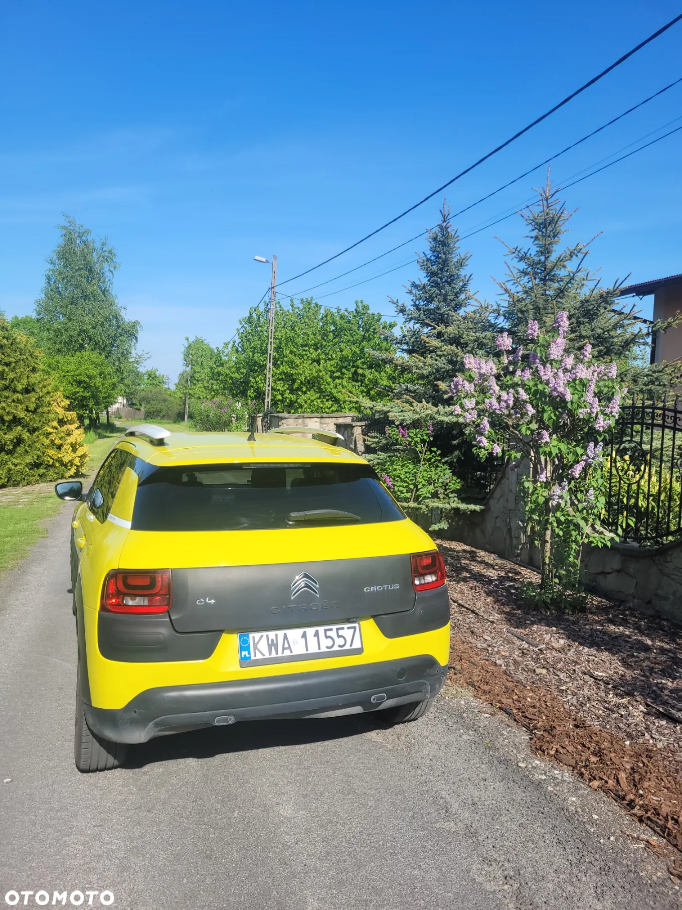 Citroën C4 Cactus 1.2 PureTech Feel Edition - 4