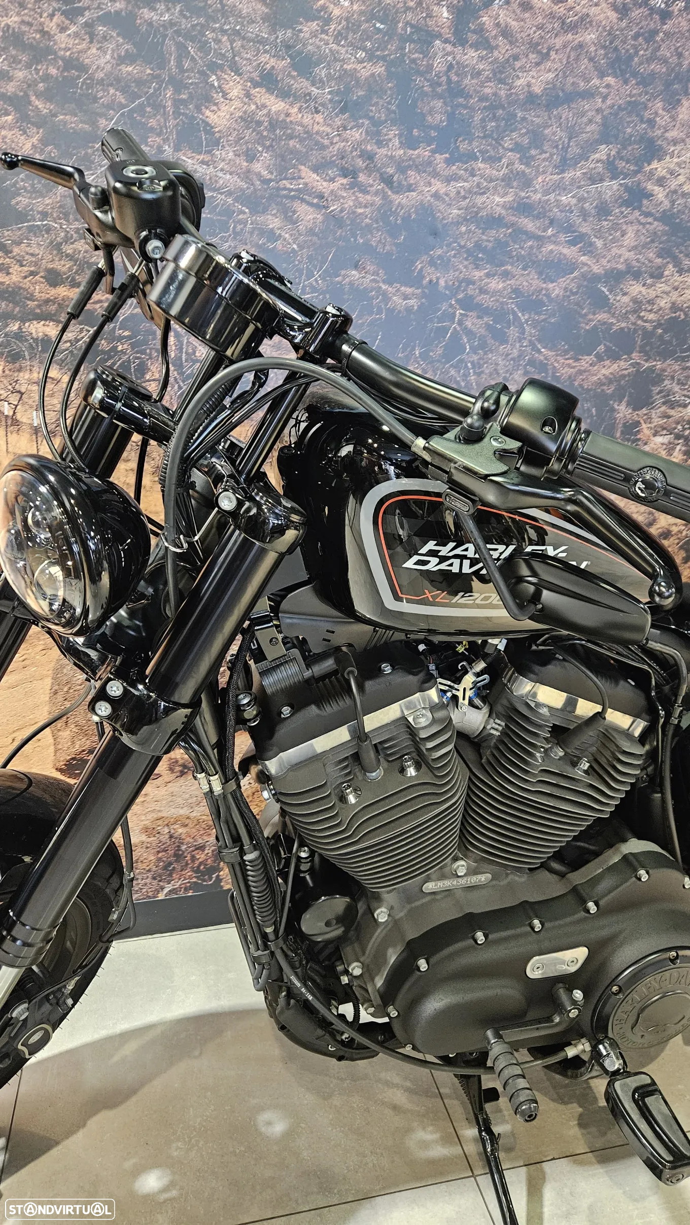 Harley-Davidson Sportster Roadster 1200 - 18