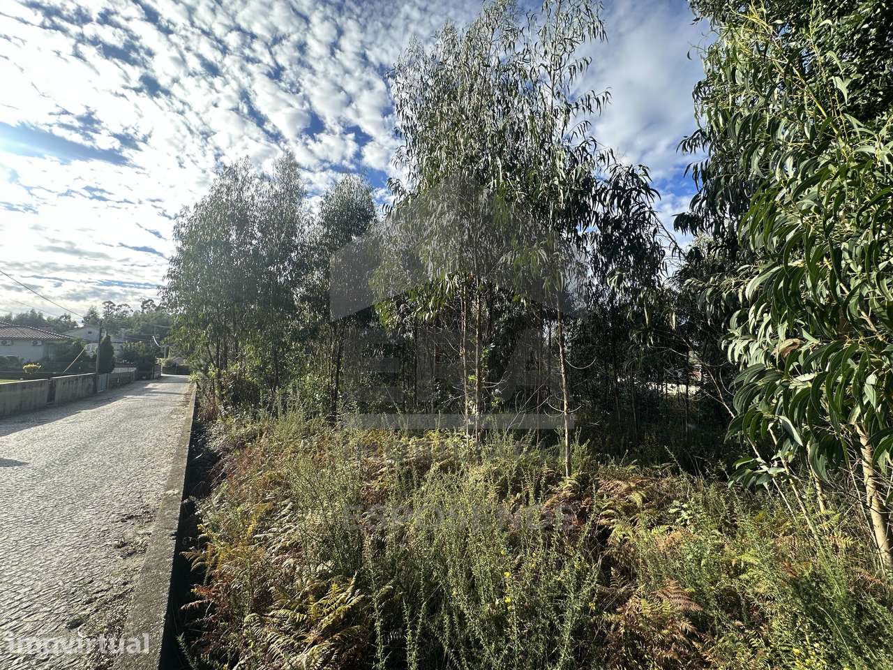 Terreno construção c/ 4.002 m² – Alvelos/ Barcelos - Grande imagem: 3/9