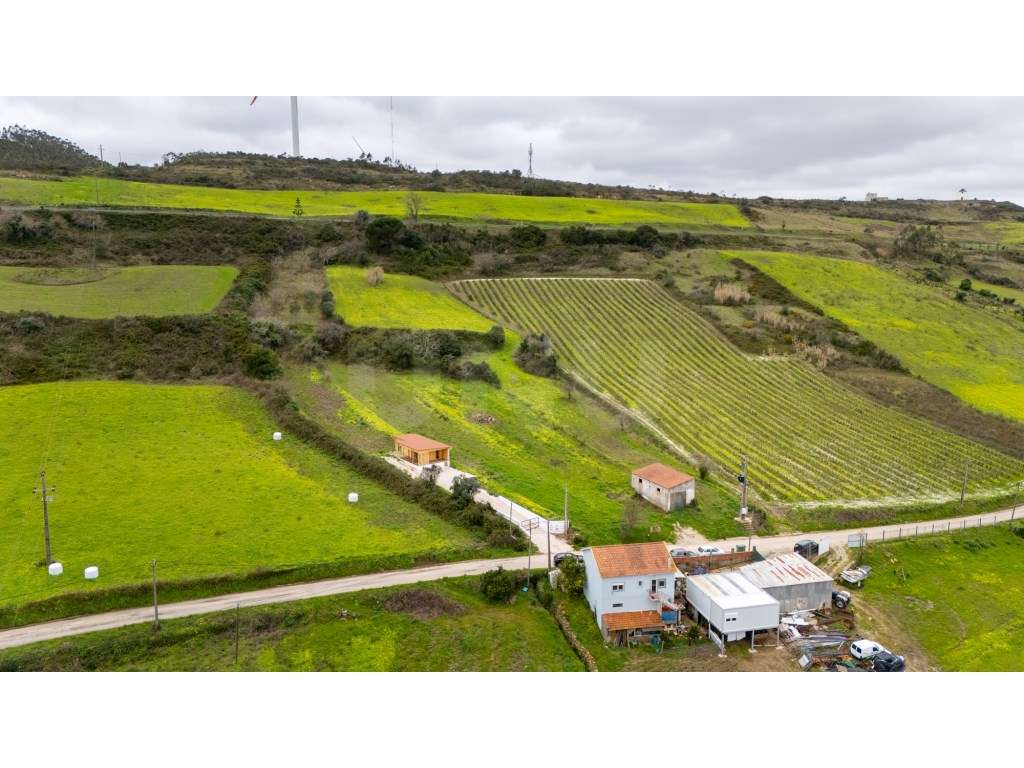 Terreno urbanizável, para venda, Alqueidão , Sobral de Monte Agraço - Grande imagem: 4/24