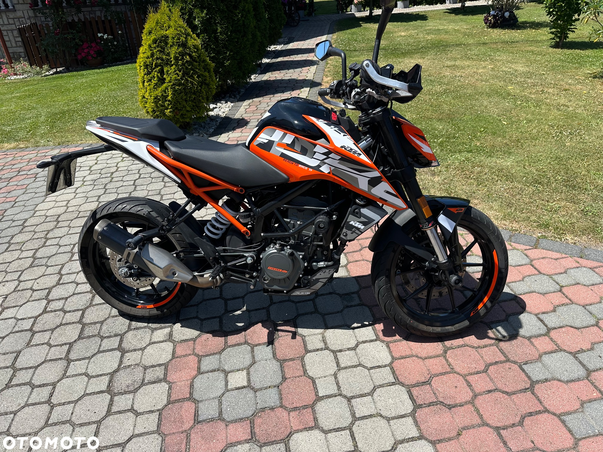 KTM Duke - 5