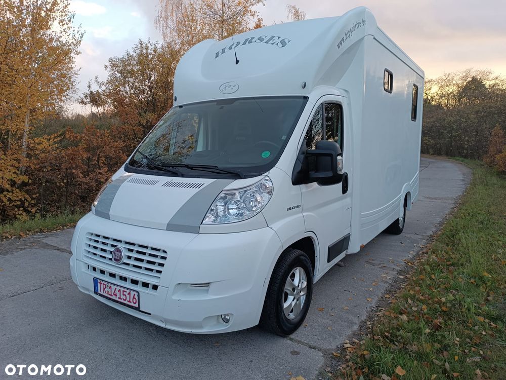 Fiat Ducato  2.3 Klima Koniowóz 2-konie - 3