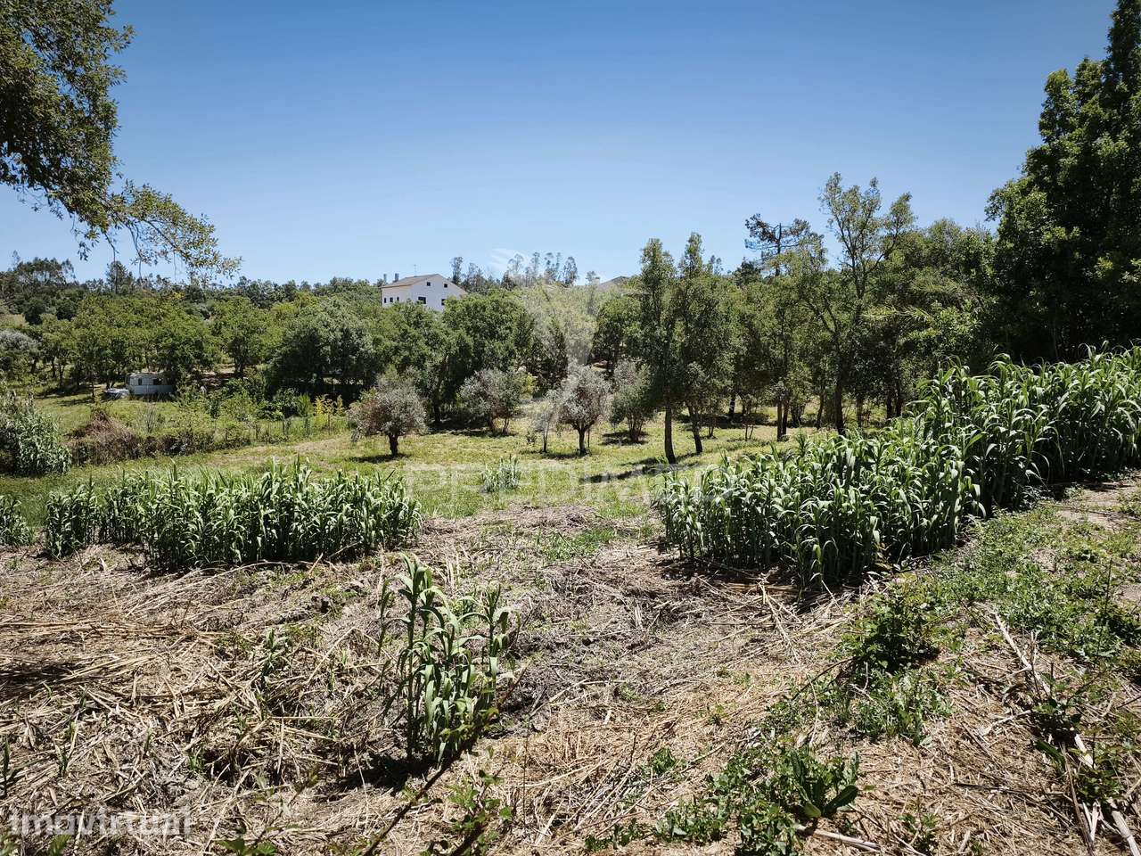 Terreno Rustico com cerca de 5400 m² - Grande imagem: 4/8