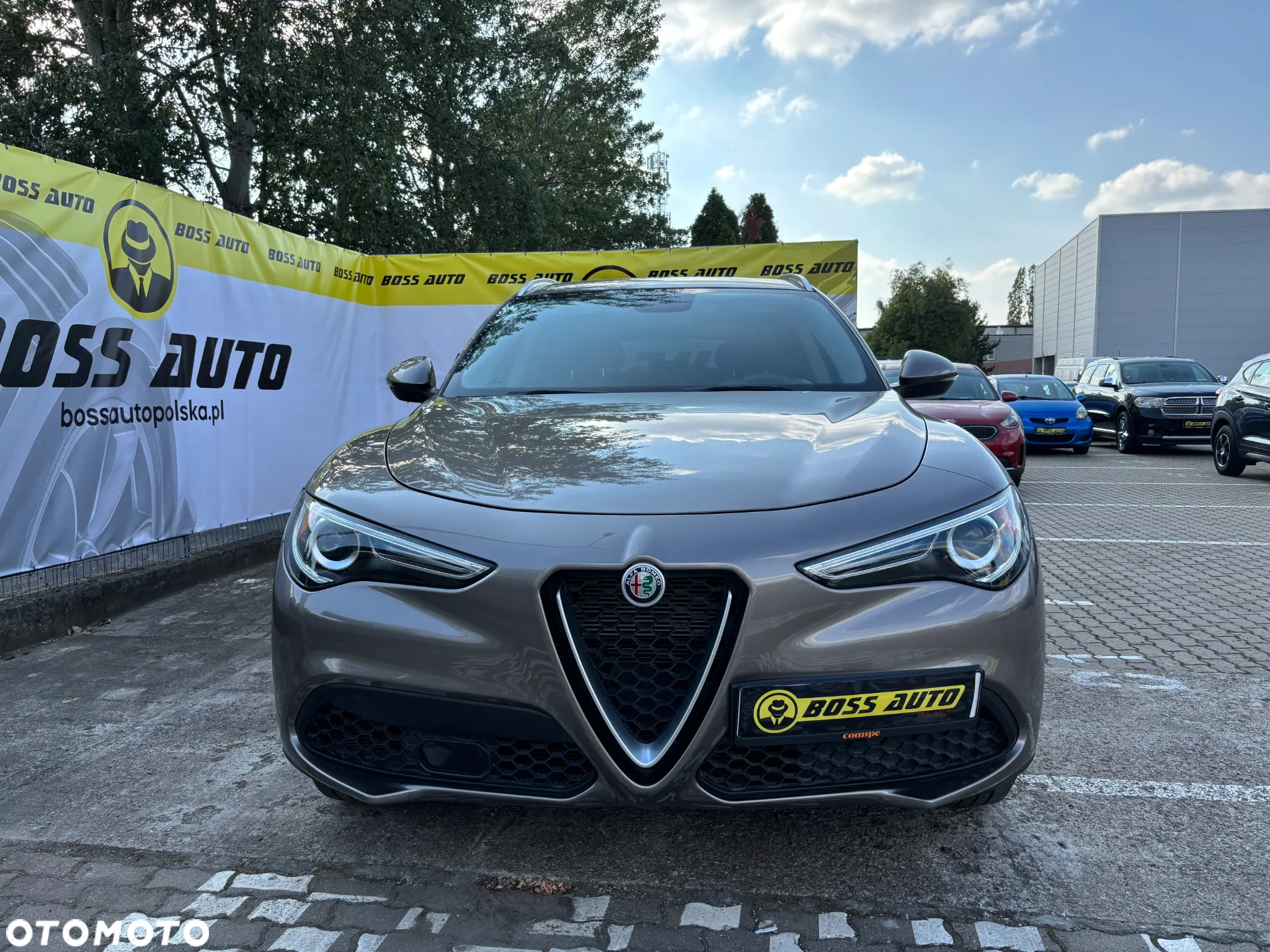 Alfa Romeo Stelvio 2.0 Turbo Executive Q4 - 2