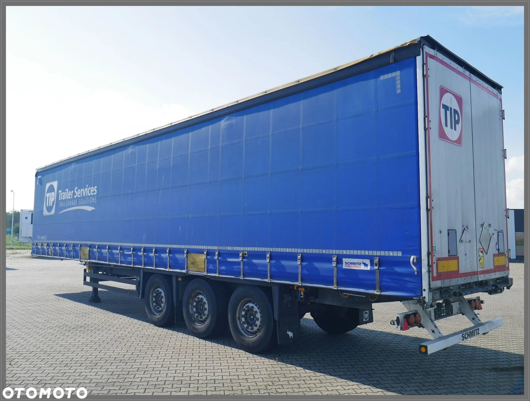 Schmitz Cargobull Firanka / Standard / TIP 589464 - 7