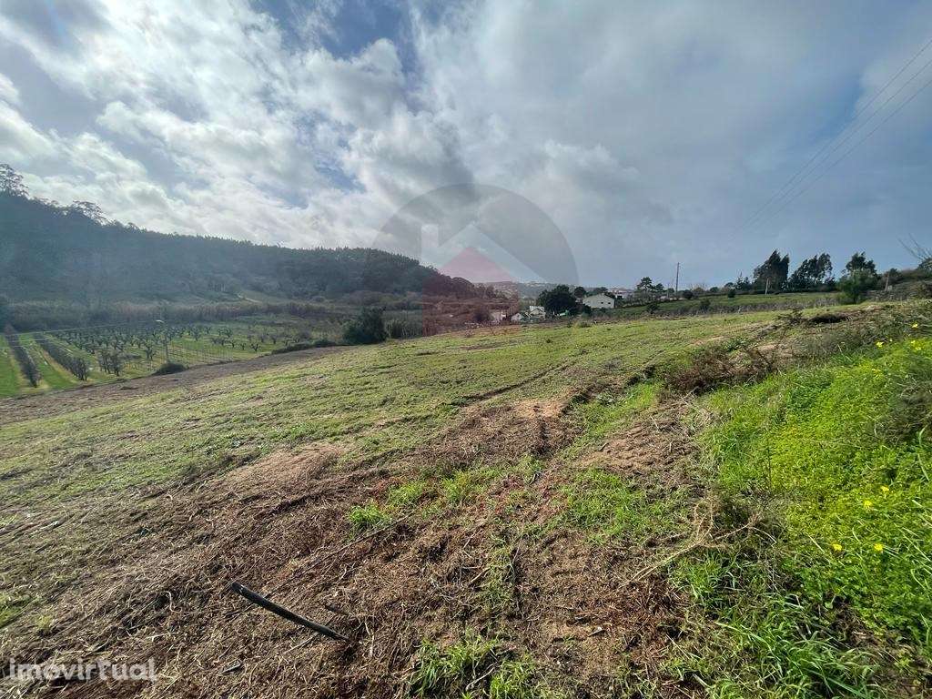 Terreno com projeto para 2 moradias e vista deslumbrante para o campo - Grande imagem: 5/20