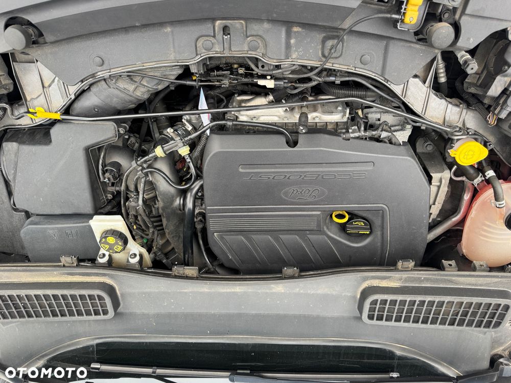 Ford Kuga 1.5 EcoBoost 2x4 Trend - 14
