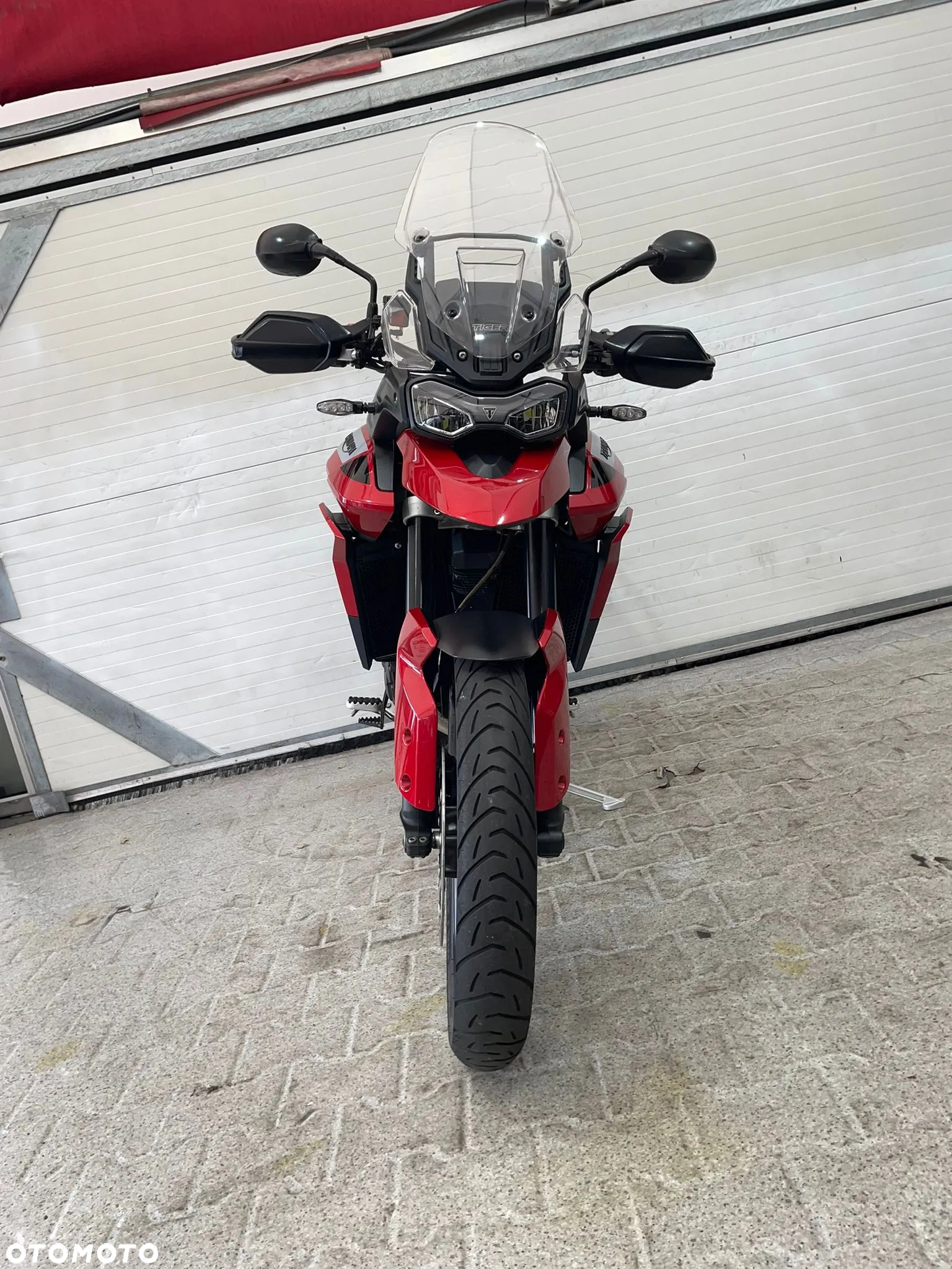 Triumph Tiger - 24