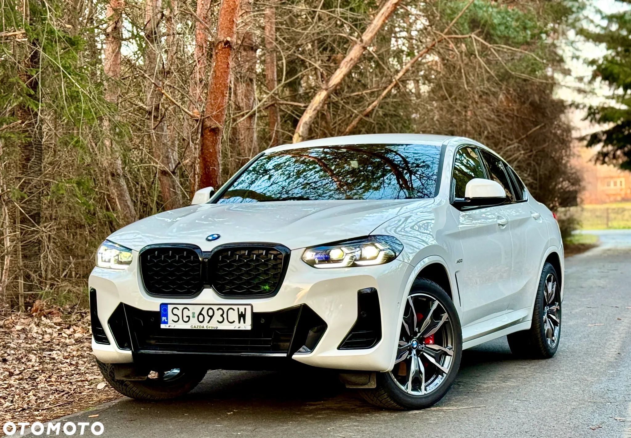 BMW X4 - 1