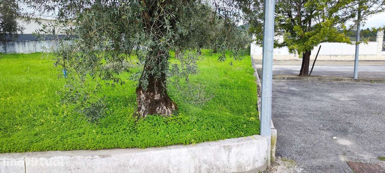 Terreno  para venda - Grande imagem: 2/12