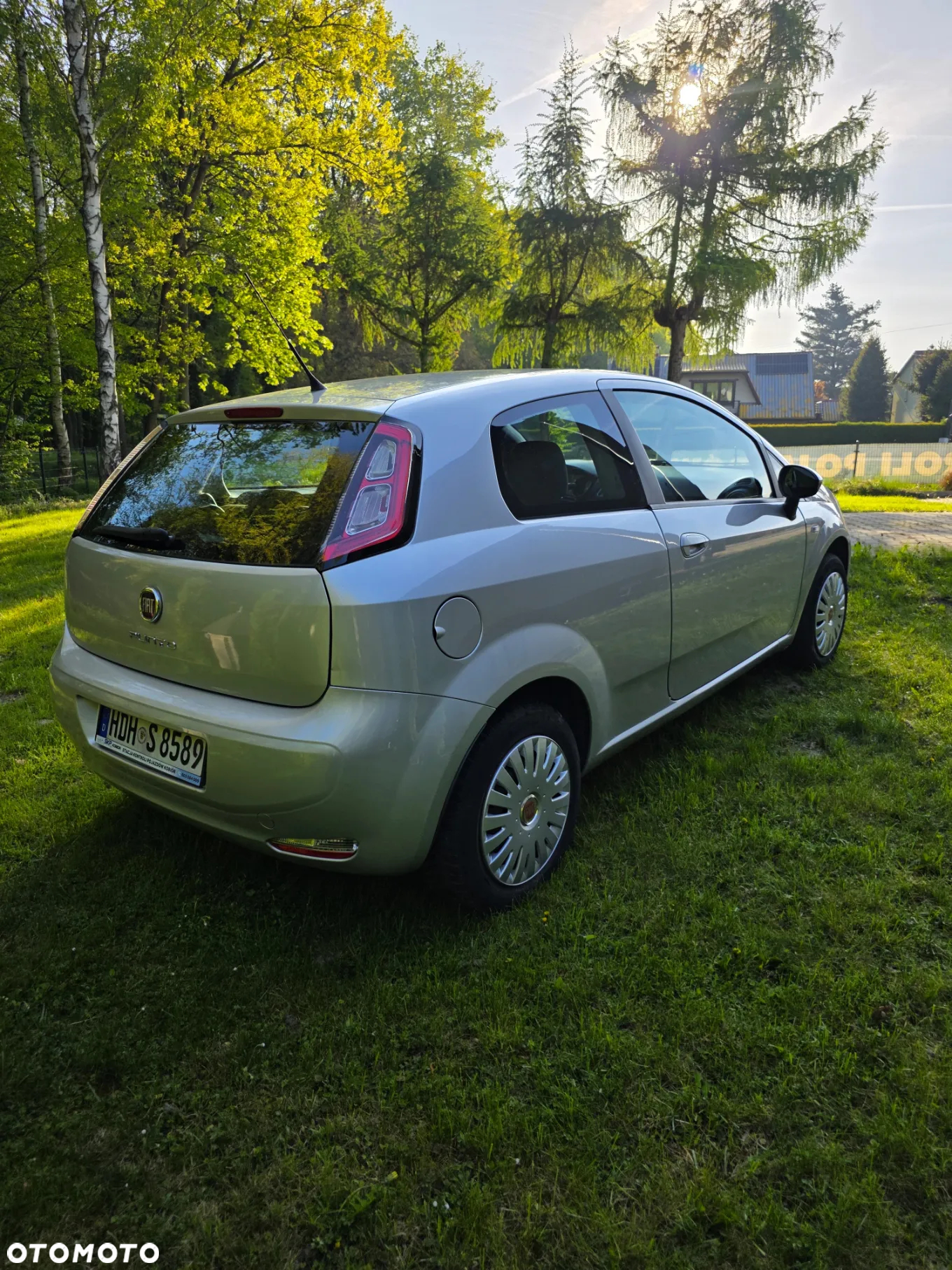 Fiat Punto - 6