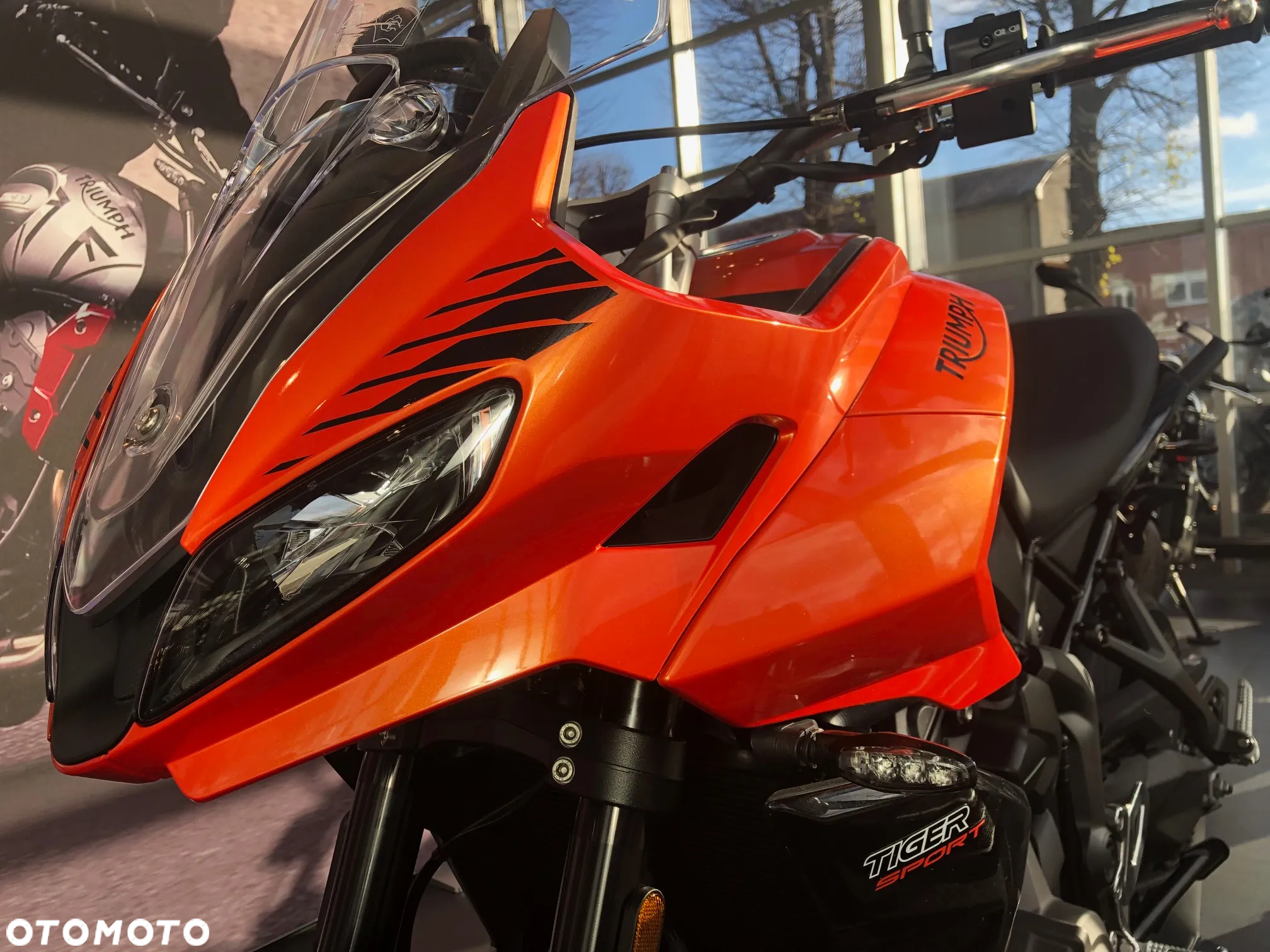 Triumph Tiger - 5