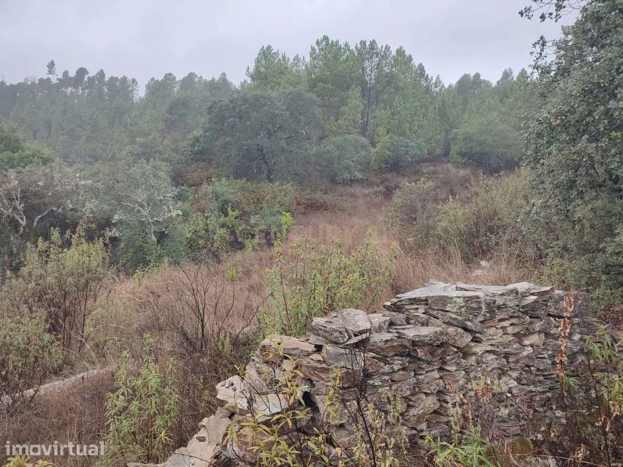 Terreno Rústico com 14.000m2, Chã da Vâ, Castelo Branco - Grande imagem: 3/11