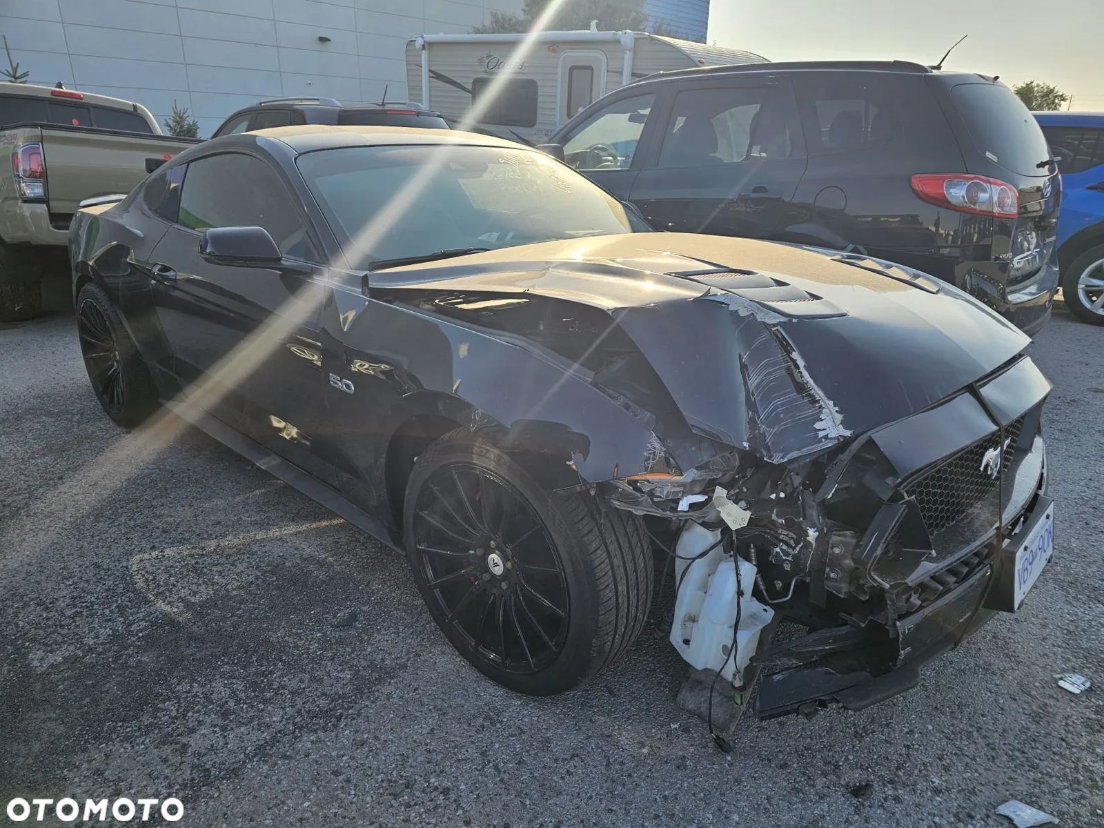 Ford Mustang - 1