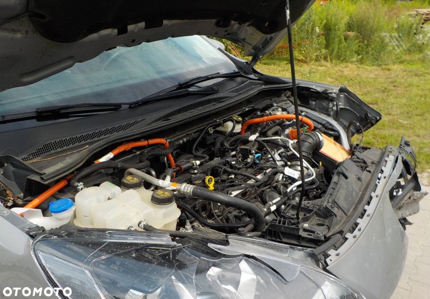 Ford Kuga - 5