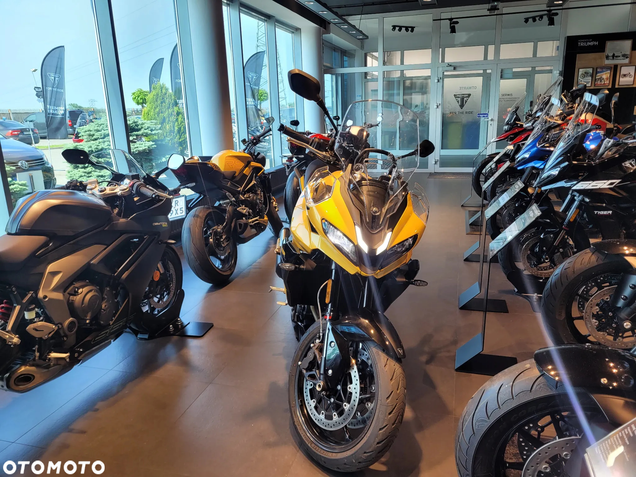 Triumph Tiger - 4