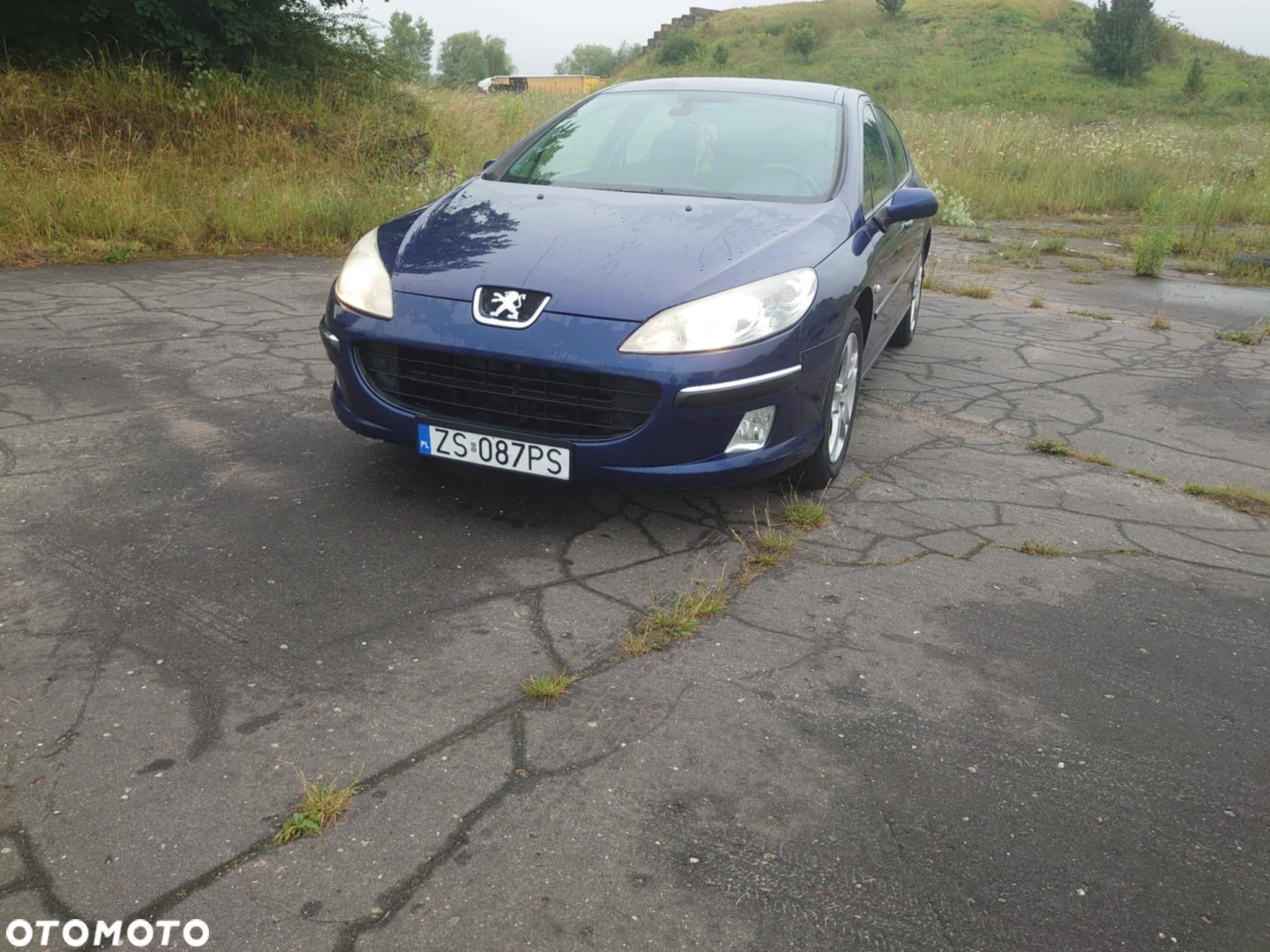 Peugeot 407 2.0 SV Executive - 1