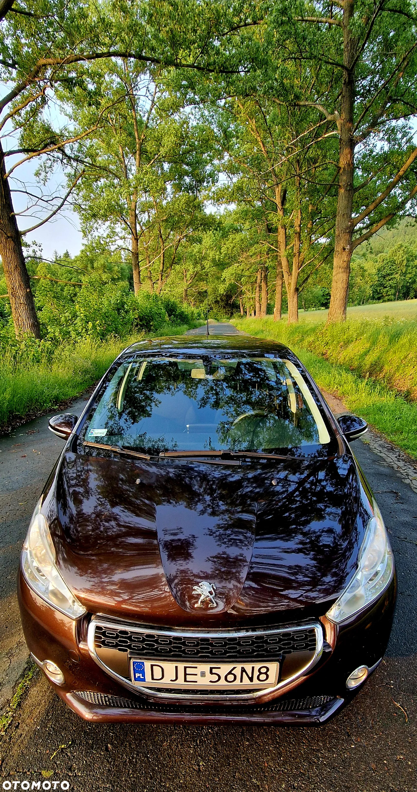 Peugeot 208 1.2 PureTech Active - 10