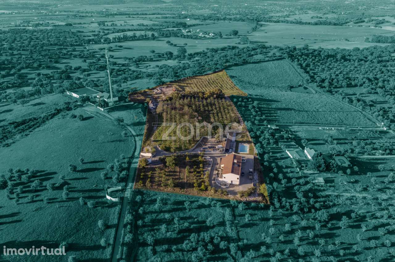 Quinta Exclusiva com 3 Hectares - Redondo - Grande imagem: 3/60