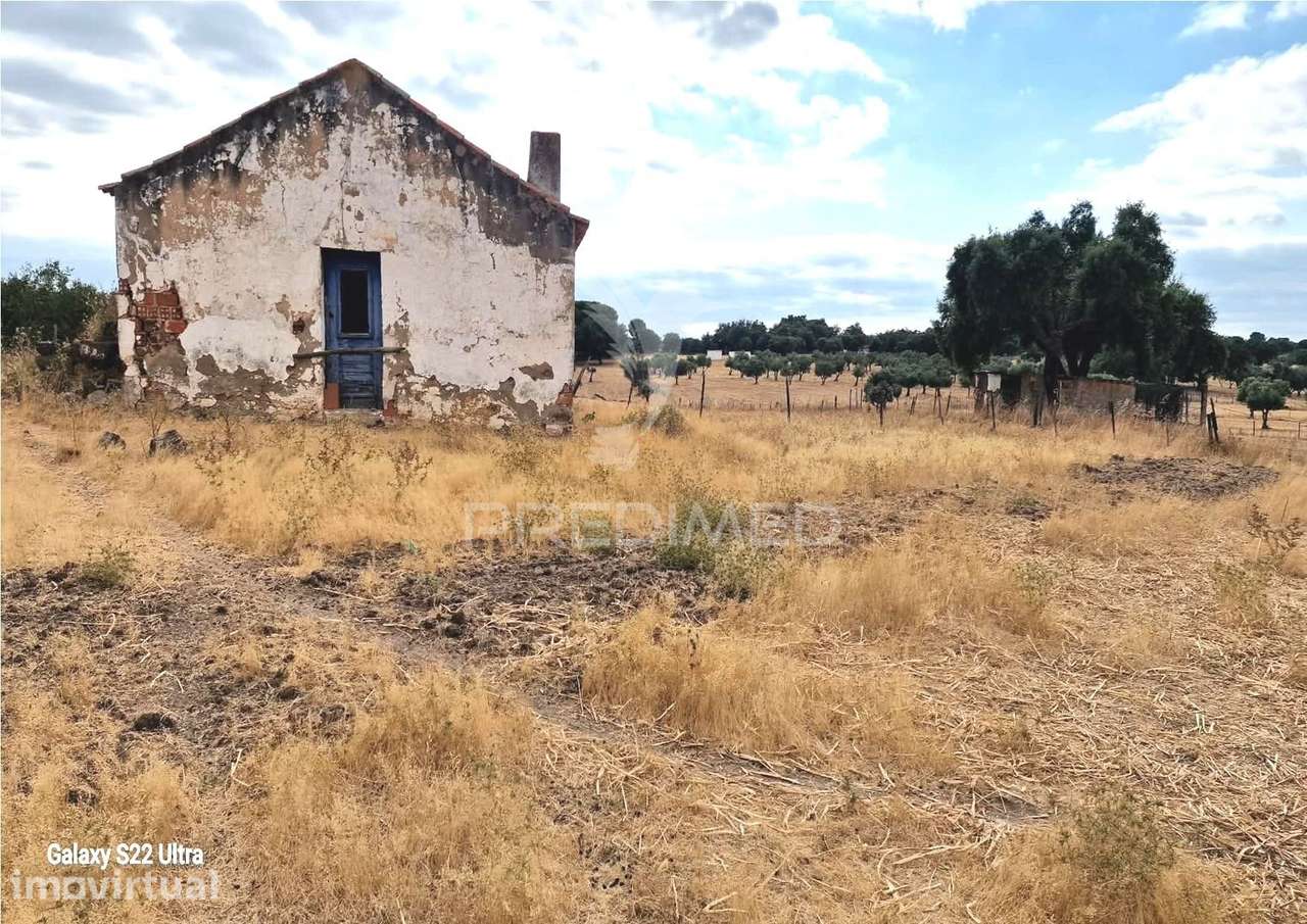 UM MONTE ALENTEJANO DEVIDAMENTE LEGALIZADO - Grande imagem: 2/14