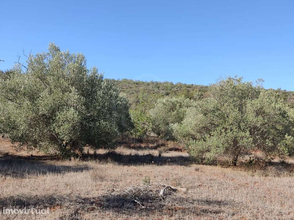 Terreno Rustico com 12 390 m2, Loulé, Algarve - Grande imagem: 2/10