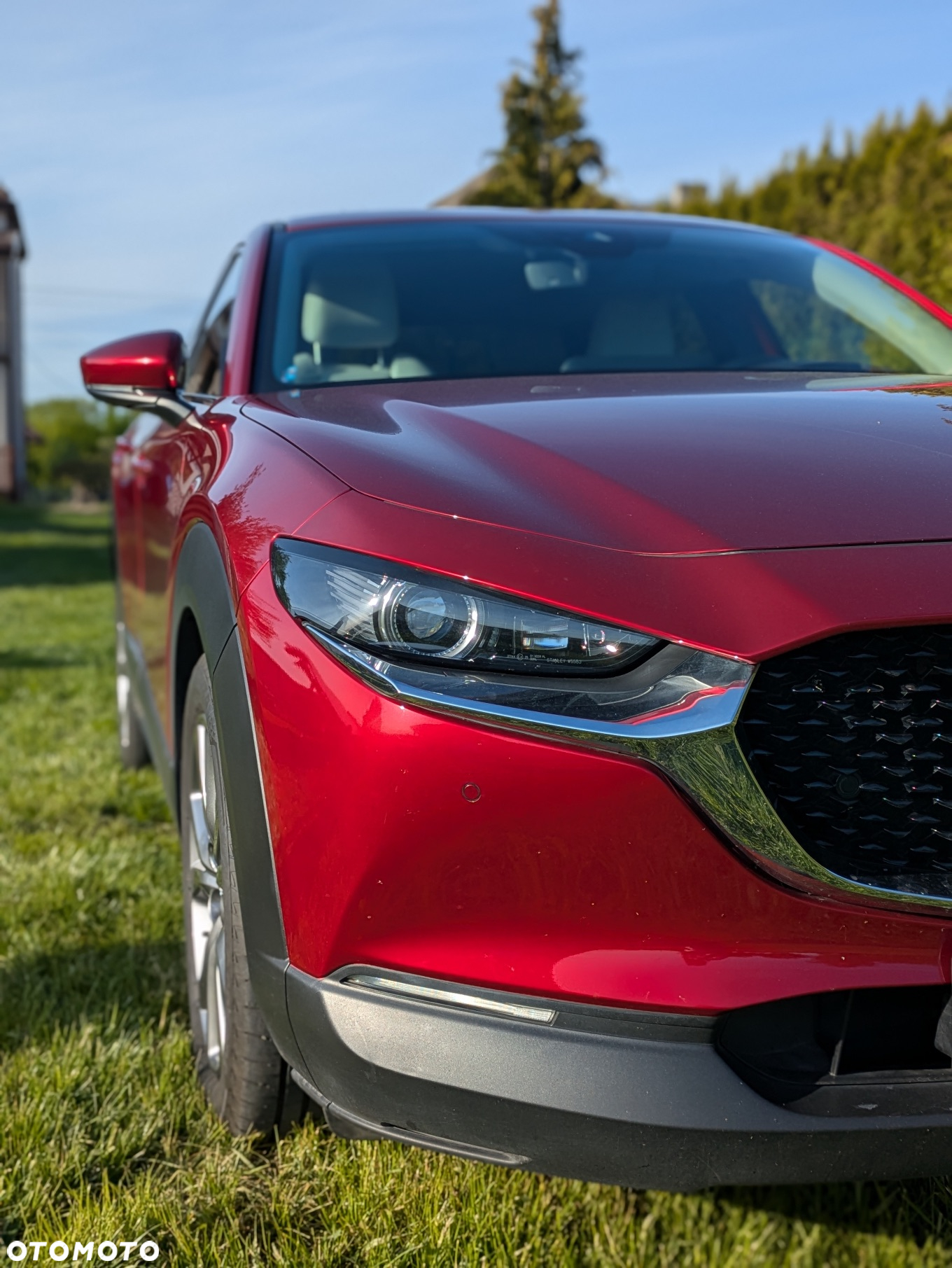 Mazda CX-30 2.0 mHEV Enso 2WD - 6