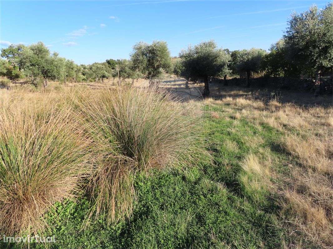 Quinta T0 para venda - Grande imagem: 5/20