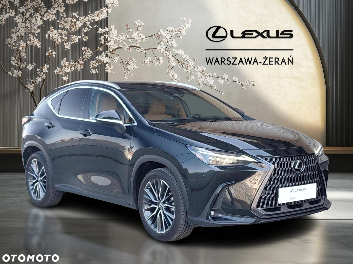 Lexus NX 350h Omotenashi AWD - 9