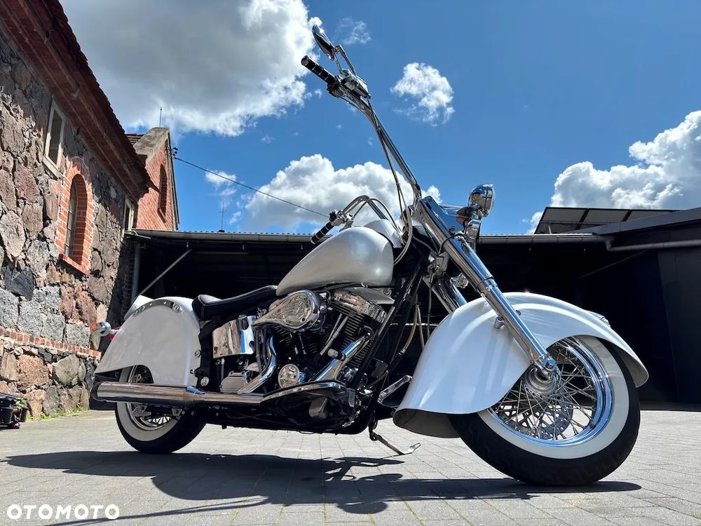 Indian Chief - 30